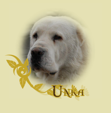 unka